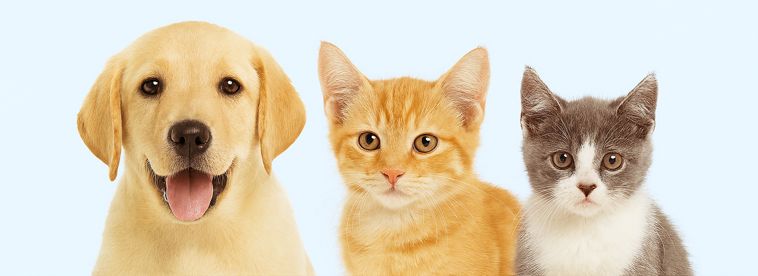 Estes Family Animal Clinic